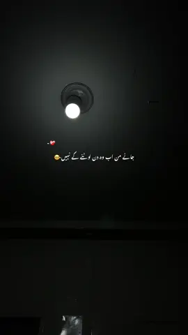 جانے من آب وہ دن لوٹنے کے نہیں 😫🥀 #poetry #fyp #poetrystatus #viral #firstvideo 
