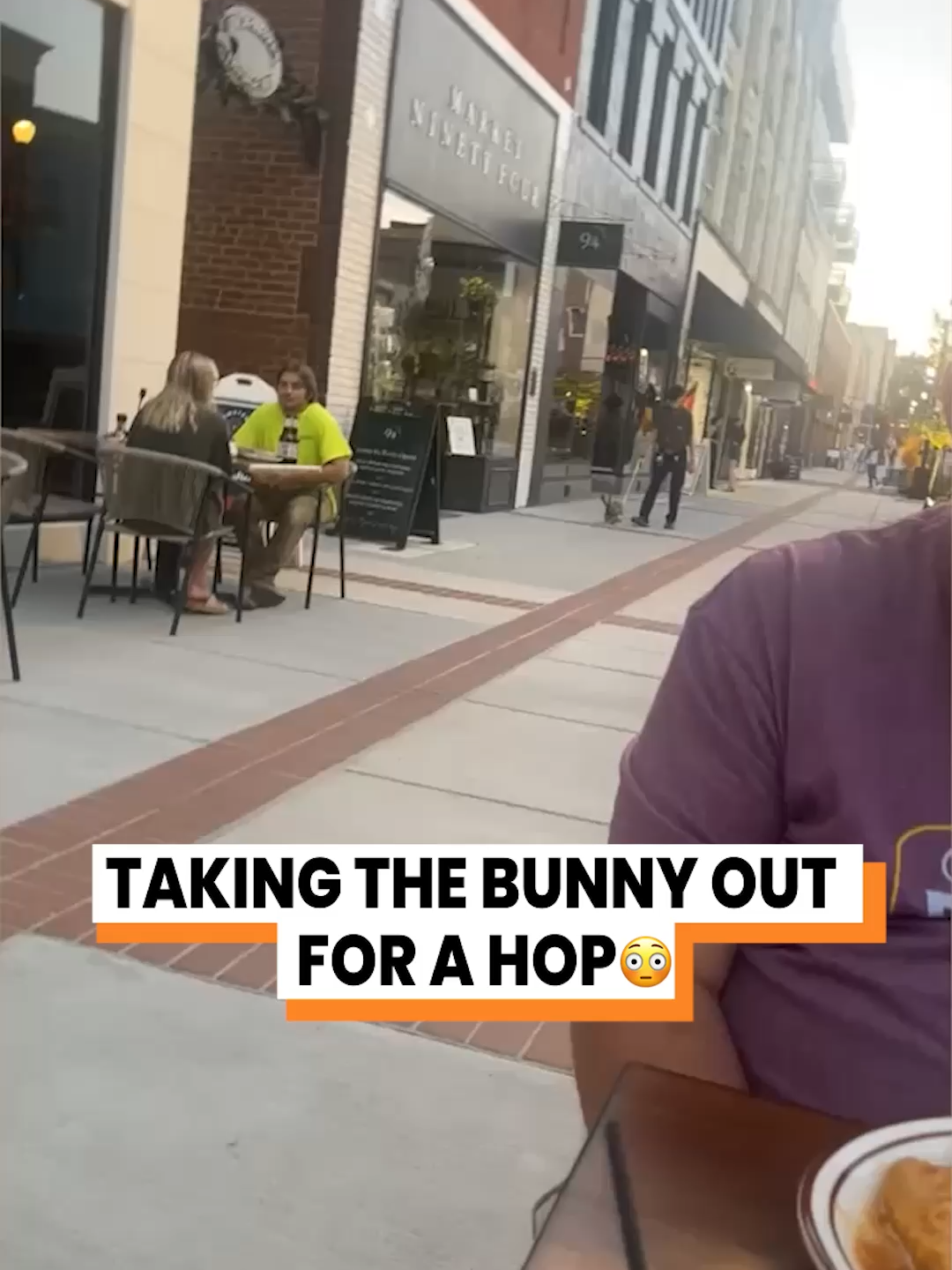 This rabbit living their best life ( @arkbykomi ) #rabbit #walk #bunny #spoiltpet #luxury
