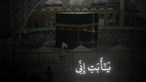 سورة مريم😔🤍#ياسر_الدوسري #قرآن #سورة_مريم #islamic #quran 