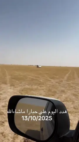 #قوانيص_الشمال #طواريح_الشمال #مقناص 