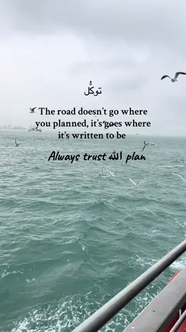 Always trust الله plan #islamic_video #islamreminders #fyp #trustallah #tawakkul 