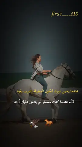 #خيل_وخياله🐎 #خيل_وخياله 