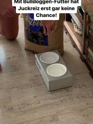 Jetzt 30% Rabatt sichern! 