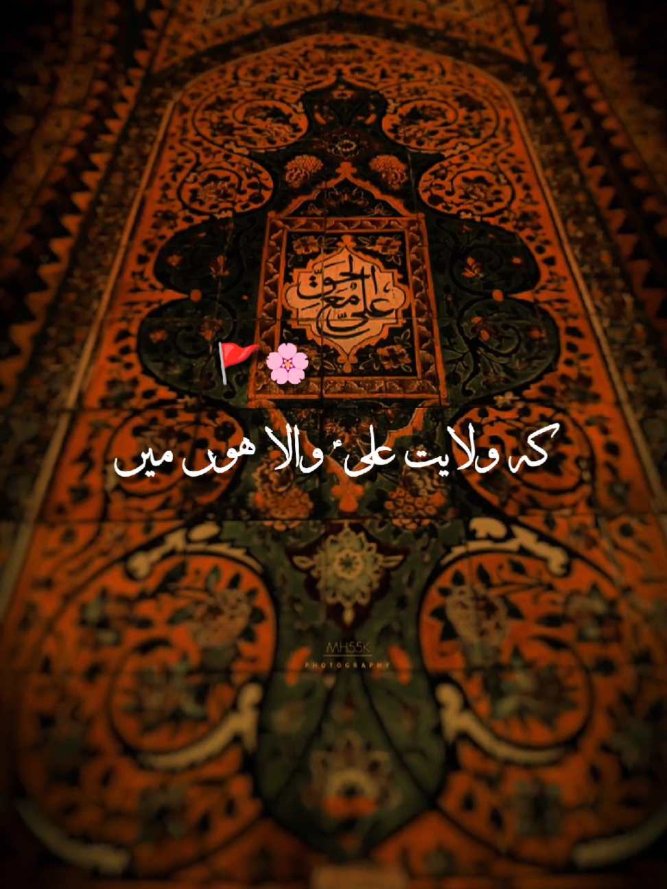 Wilayat e Aliع Wala Hun Main 🚩🌸🤍#foryou #foryoupage #virul #fyp #100k 