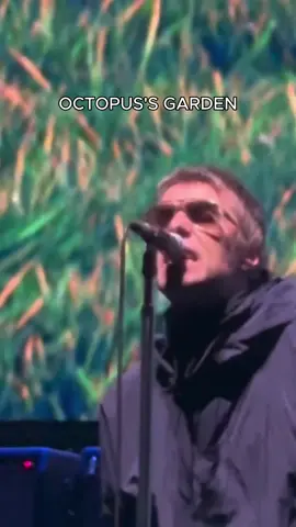 #liamgallagher #oasis 