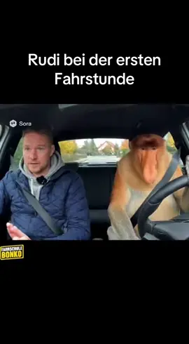 Rudi bei der ersten Fahrstunde😂 #fyp #lustig #fahrschule 