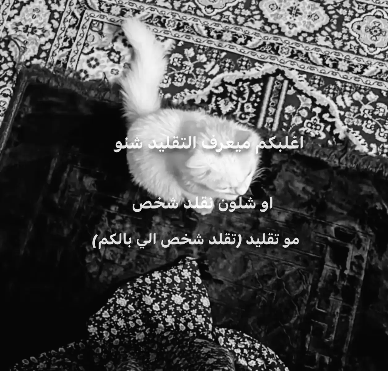 #التقليد #مرجعنا_السيستاني #مرجع_ديني #سيد_علي_السيستاني #الدين 