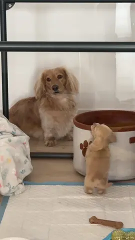 heavy on the last part 🫠 @WINSTON_DA_WEEN 