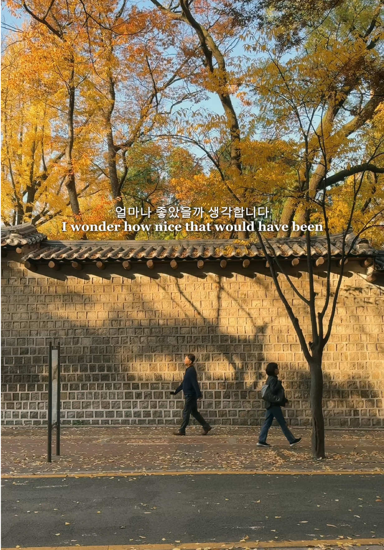what if… #seoulkorea#kdramaquotes#kdrama