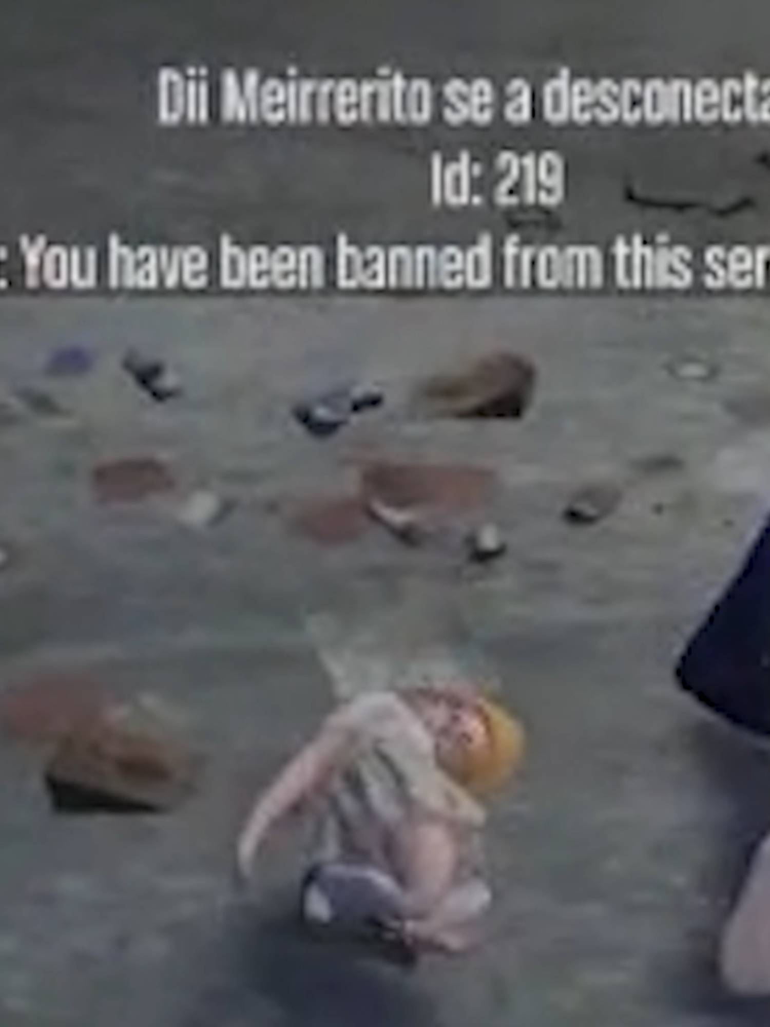Nooooo Me Banean @miaumei #gta #gtarp #gtarpmoments #funny #fyp #fypツ #moment #fypp