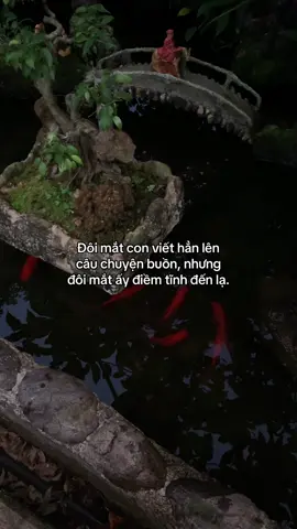 …#tamtrang #story 