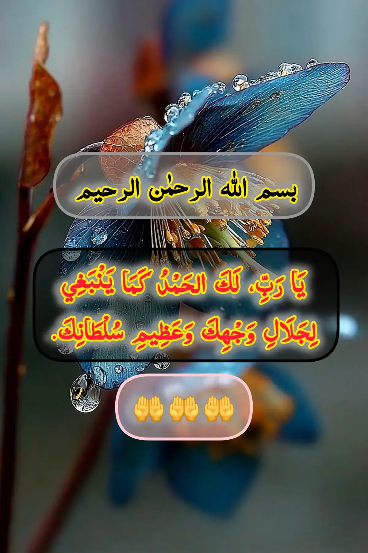 خدا اور اس کے فرشتے آپ ﷺ پر درود بھیجتے ہیں۔ اے 💯! ايمان والو 🖤.!! تم بھی ان  ﷺ پر درود و سلام بھیجو۔👇 اللَّهُمَّ صَلَّ عَلَى مُحَمَّدٍ وَ عَلَى آلِ مُحَمَّدٍ كَمَا صَلَّيْتَ عَلَى إِبْرَاهِيمَ وَعَلَى آلِ إِبْرَاهِيمَ إِنَّكَ حَمِيدٌ مَجِيدٌ .❤️ اللَّهُمَّ بَارِكْ عَلَى مُحَمَّدٍ وَ عَلَى آلِ مُحَمَّدٍ كَمَا بَارَكْتَ عَلَى إِبْرَاهِيمَ وَعَلَى آلِ إِبْرَاهِيمَ إِنَّكَ حَمِيدٌ  مَجِيدٌ ❤️ TIKTOK I'D👇👇👇👇 amirkhan..719   Islamic videos  #islamabadbeautyofpakistan #Islamabad #islamicrepublicofpakistan #Pakistan #beautifuldestinations👌👅🙌🔥🔥 