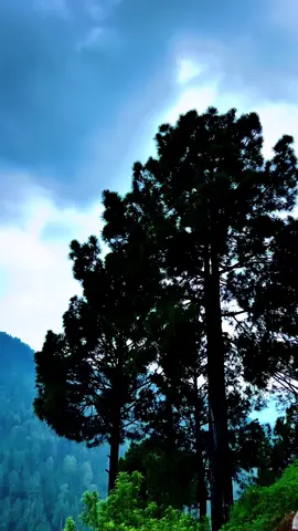Hajira Azad Kashmir #standwithkashmir #kashmirnaturebeauty #kashmirbeauty #viralvideo 
