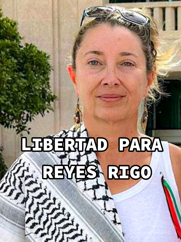 #viral #inteligenciartificial #flotilla #españa #gaza 