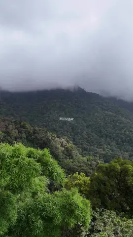 Venezuela 🇻🇪🫶🏻