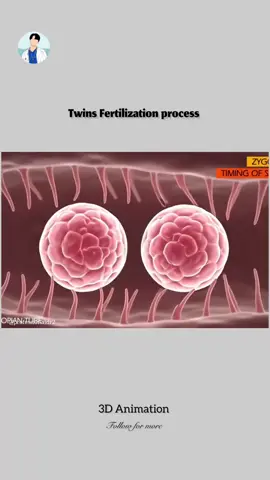 Fertilization process. . #fyp #foryouofficial #pregnancy #1millionaudition #onlyforyou @Healthy vibes @Doctor sb @Dr Hania 🥼 