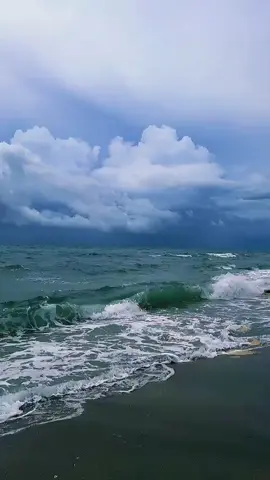 حسدوني لي غارو مني ..... شاب حسني #fypシ゚ #viraltiktok #تيك_توك_عرب #chebhasni #fyppppppppppppppppppppppp @Mohamed kahlouche @𝓝𝓲𝓭𝓱𝓪𝓵 𝓗𝓮𝓻𝓶𝓲 @✨🇩🇿 Zaki4681 🇩🇿✨ 