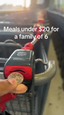 Let’s go shopping at Aldi. Meals under $20 for a family of 6 