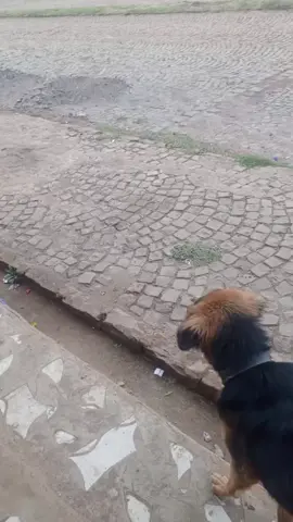 #ethiopian_tik_tok🇪🇹🇪🇹🇪🇹 #የሹፌሮችድምፅ🇪🇹ክብር🇪🇹ለሹፌሮች🇪🇹 #fyppppppppppppppppppp #ሀገረ_ethiopia_ለዘለአለም_ትኑር_🇪🇹🙏⛪🇪🇹🙏⛪ 