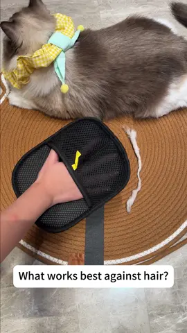 Review of Pet Hair Removal Tools🐈#tiktok #tiktokshop #PetsOfTikTok #catsoftiktok #petproducts 