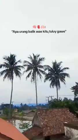 #fyp #santri #katakata 