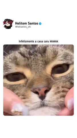 Tente não rir...🤣 @nyna_silva023  #reels #viral #engracado #meme #explore #explorar #funny #memes #comedy #brasil #humor #helitommemes