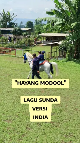 Hayang Modol lagu sunda india viral #hayangmodol #lagusundaviral  #fyp 