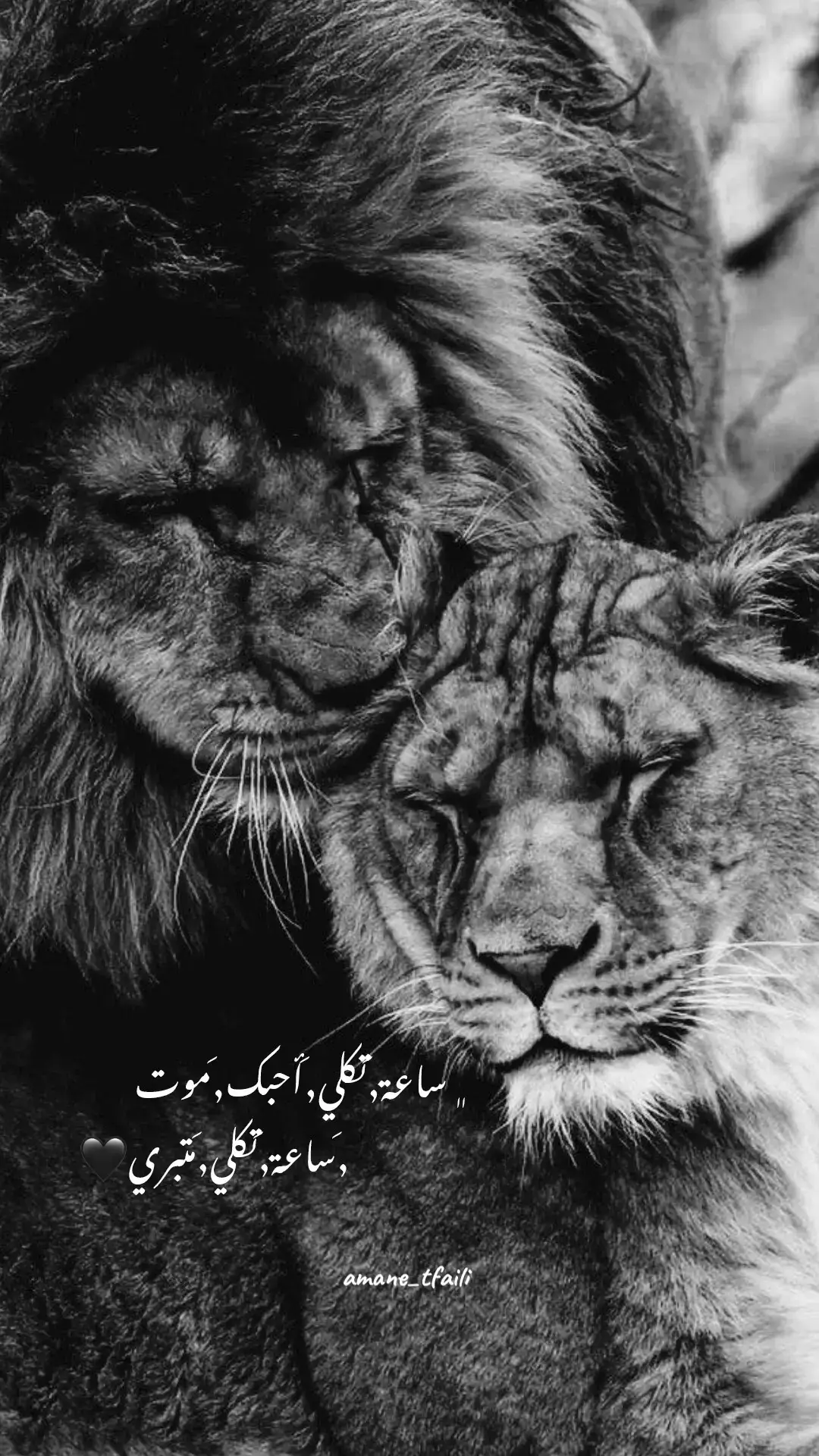 #تصميم_فيديوهات🎶🎤🎬 #amane_tfaili #اغاني_عراقية #🖤🖤🖤 #مدري_الحظ_عوج_وياي 