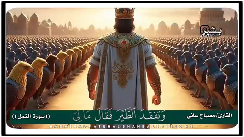 #نفحات_ من الهدهد الي الصرح #سليمان_وبلقيس#هدهد_سليمان#من_سورة_النمل القارئ مصباح ساني #اللهم_صلي_على_نبينا_محمد💓🕋📿 
