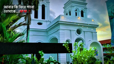 একটাবার ফিরে পেতে চাই....! 💔💔🥀#fyp #parati #foryou 