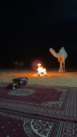 #الشيخ#ابو_حناش #بنت-الشيخ#كسبلور_explor #الصياهد_رماح_مهرجان_الملك_عبدالعزيز 