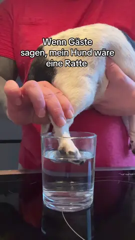 Ein ganz besonderes Glas für den Gast 😍😂😂😂😂 #couplecomedy #couple #comedy #lachen #lustig 