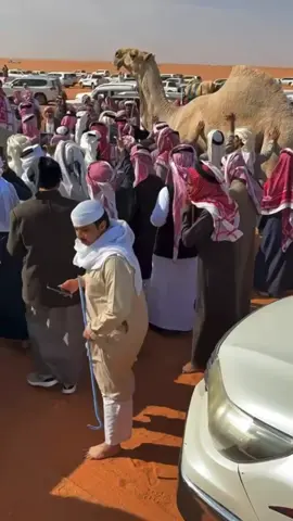 # _قالها ابو فهاد اللي مايقدر منافسه الرياجيل ماله إلا يجنب عنها _ كابوس الصياهد  _محمد بن جخدب 