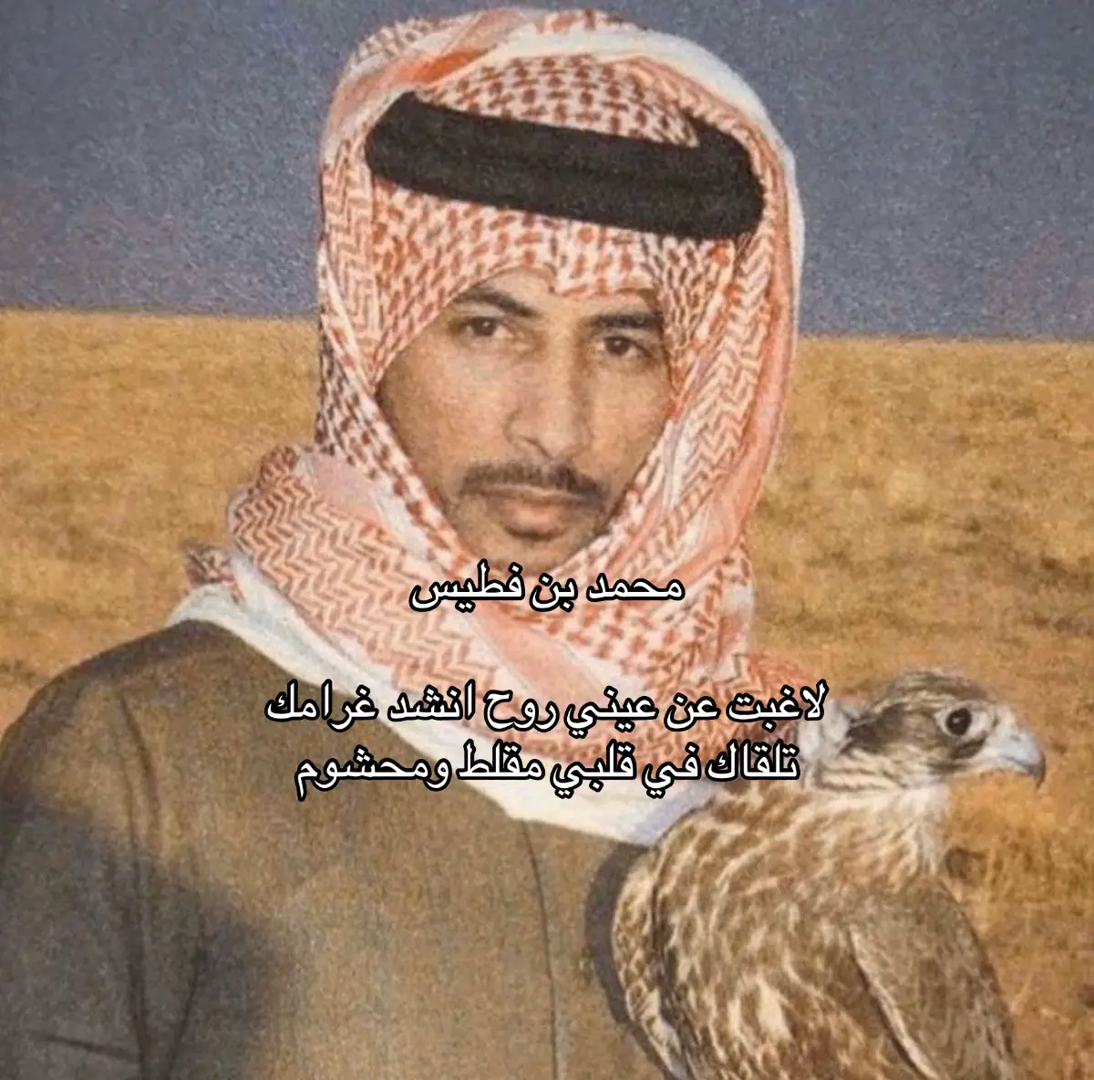 #محمد_بن_فطيس #قصايد #foryou #explore #fyp 