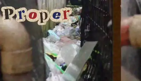 #improperwastedisposal  #reuse #reduce  #recycle  Your Trash, Our Treasure.  Recycle the Future!