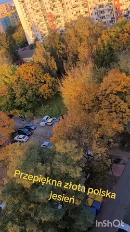 #plska #jesień  #dc #fyp 