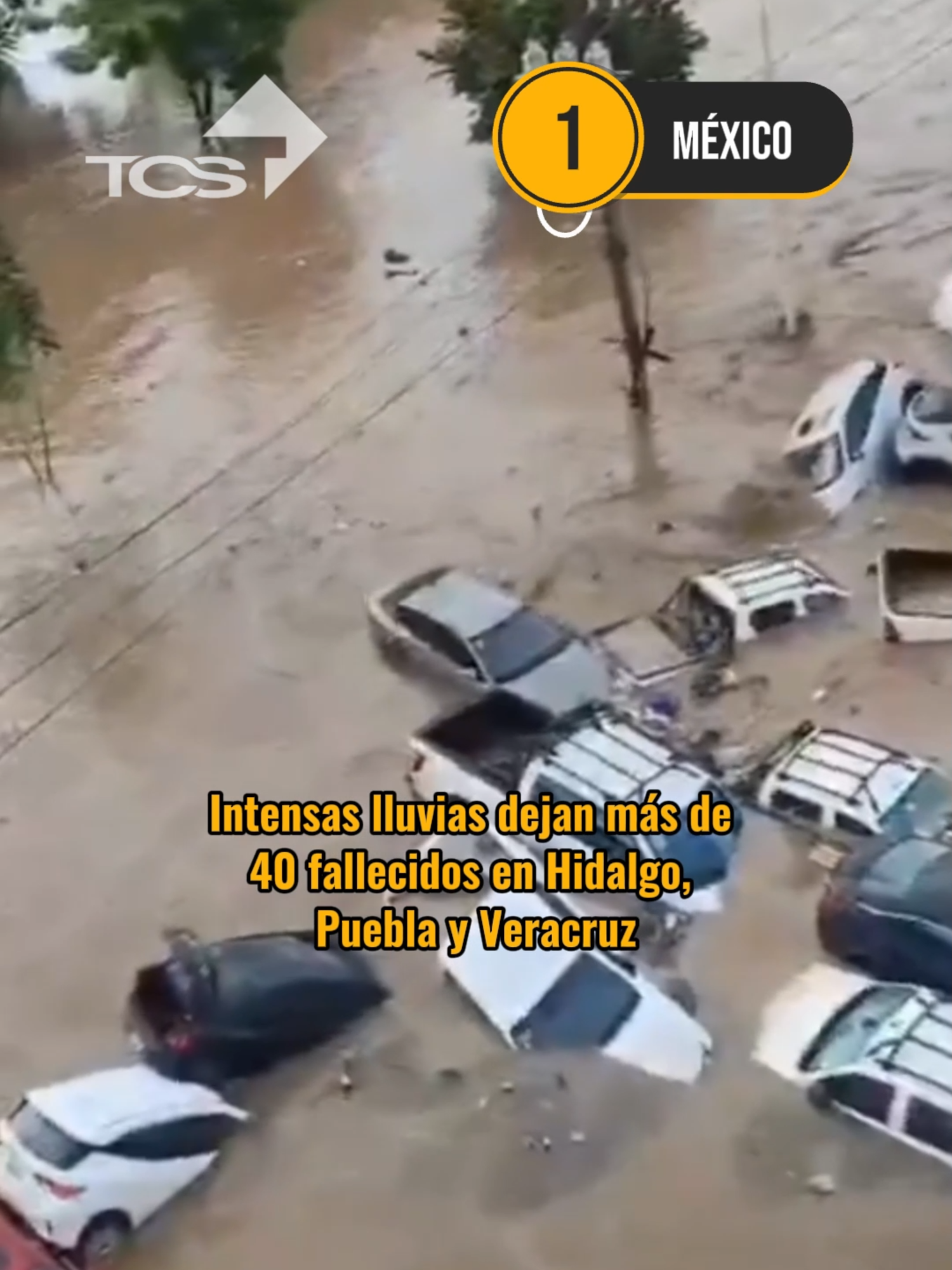 #EN6| Estas son las noticias internacionales de hoy, lunes 13 de octubre de 2025. 🌎🗞️🚨 ¡Dale like si te interesa estar informado!👍🏻 #noticias #noticiasen1minuto #internacionales #hoyenelmundo #ultimahora #elsalvador #tiktoknews #clima #noticiasvirales #mexico #puebla #hidalgo #veracruz #limaperu🇵🇪 #hamas #israel🇮🇱 #zimbabwe #sudafrica #india