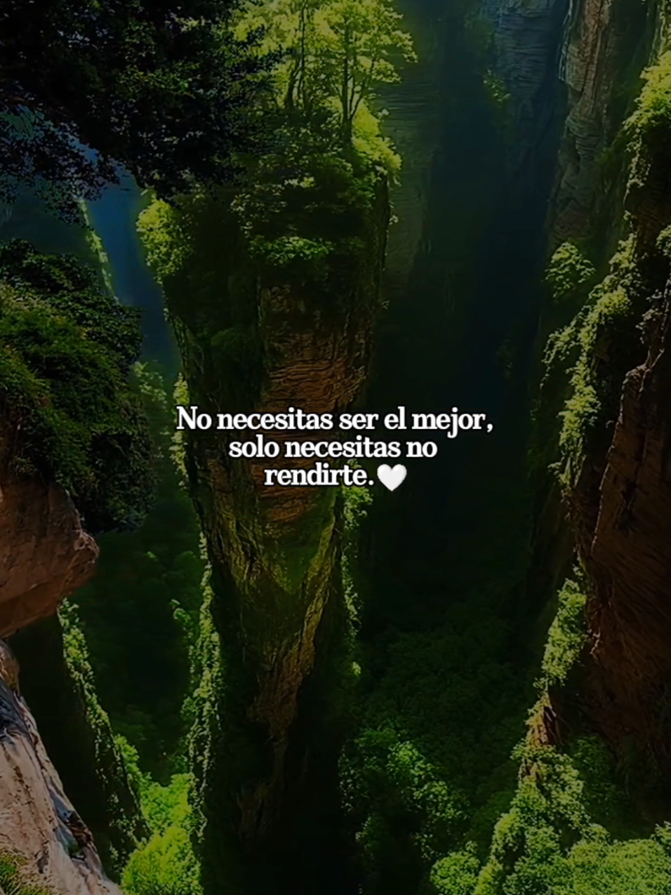 🤍🍀La constancia siempre gana 🍀🤍#exito #motivacion #emprendimiento #crecimientopersonal #paratii 