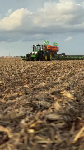 #sementestropical #safra25/26#plantadeiraestrela #starabrasil 