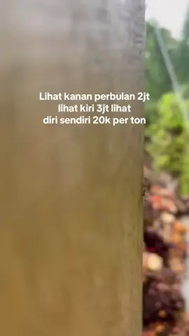 Apalah dayaku yang cuman 20k per ton🙂#fypシ゚ #kulisawit #fypシ゚ 
