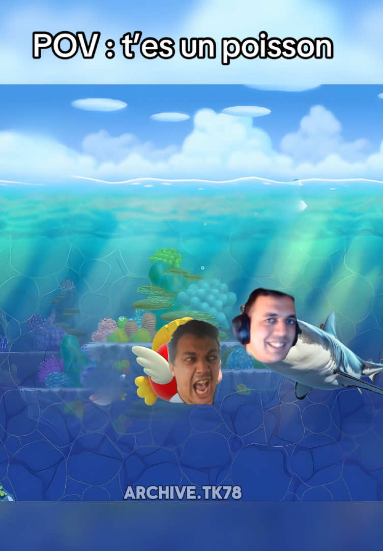 POV : t’es un poisson #tk78 #tk78memes #poisson #drole #humour 