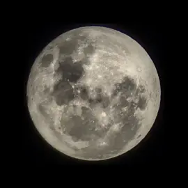 i love you, but noel said.... #noelgalagher #noelgalaghershighflyingbirds #ifihadagun#ifihadagunnoelgallagher #ifihadagun #noelgallagherifihadagun #fyp #fypppppp