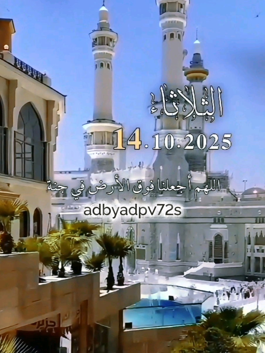 #CapCut دعاء_يوم_الثلاثاء 🤲🤍 #دعاء_يوم_الثلاثاء #يارب 🌸🌸🌹 #اللهم_امين_يارب_العالمين #دعاء_يوم_الثلاثاء  دعاء_يريح_القلوب_ويطمئن_النفوس دعاء_جميل دعاء_عظيم  🤲🤲🕋🕋🤲🤲