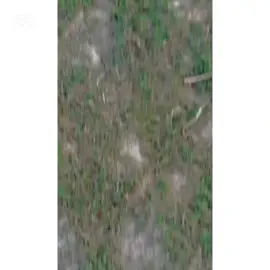 #100kviews #foryou #viralvideo #trending #1millionaudition #100millionviews 