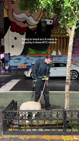 Oh and it’s RAINING…