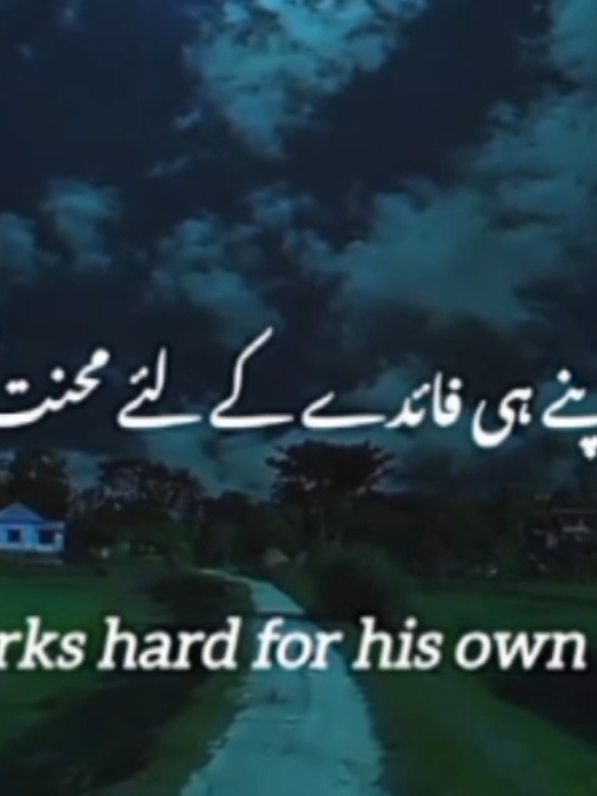 #Allah #quotes #foryou #Quran #quranrecitation 