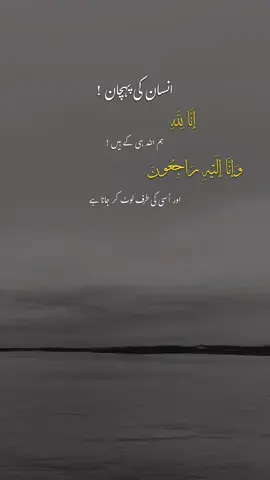 𝐑𝐞𝐩𝐨𝐬𝐭 𝐑𝐞𝐪𝐮𝐞𝐬𝐭🫶🏽 #hehe_afaq #foryoupage #viralvideo #trendingvideo #urdupoetry 