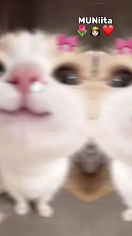 iska seexo sida aniga oo kale😭😁🙆🏽‍♀️👙♾️🔐