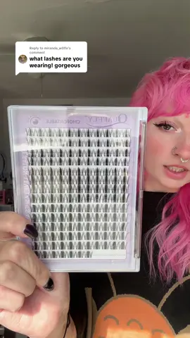 Replying to @miranda_w0lfe 