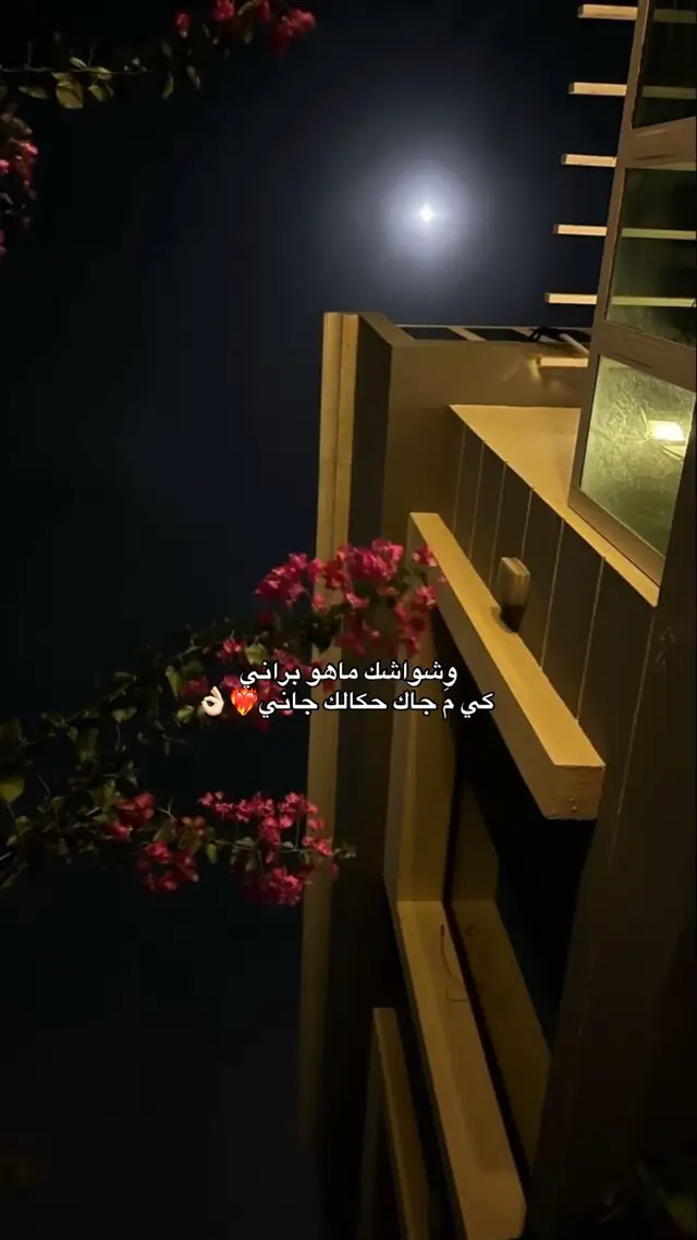 #لوحي❤️🦩 #ليبيا_درنه #محتواي #ليبيا_درنه_بنغازي_شحات_البيضاء_طبرق_سوسه_اجدابيا_المرج_ليبيا🇱🇾 #عالفاهق 